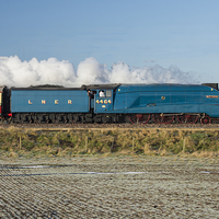 Buy canvas prints of  LNER Class A4 4464 Bittern Steam Locomotive by Liam Shaw