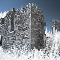 Buy canvas prints of Pretty derelict infrared image by Sonia Packer