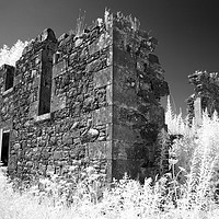 Buy canvas prints of Pretty derelict black and white by Sonia Packer