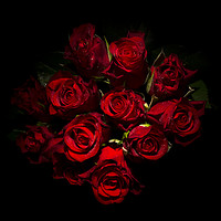 Buy canvas prints of Roses are red by Sonia Packer