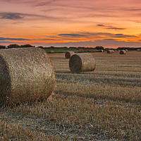 Buy canvas prints of Harvest Sunset by Colin Morgan