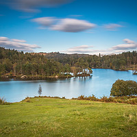 Buy canvas prints of Tarn Hows, Lake District by Colin Morgan