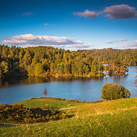Buy canvas prints of Tarn Hows in the Lake District National Park by Colin Morgan