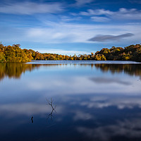Buy canvas prints of Bolam Lake Tranquil Autumn Blue by Colin Morgan