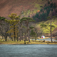 Buy canvas prints of Buttermere Pines Cottage by Colin Morgan