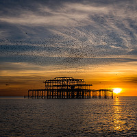 Buy canvas prints of West pier at sunset with murmurations by kevin long