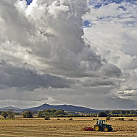 Buy canvas prints of Harvest Time by Eric Watson