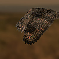 Buy canvas prints of Eagle Owl Fly By by Mark McElligott