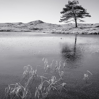Buy canvas prints of Kelly Hall Tarn by Michael Houghton