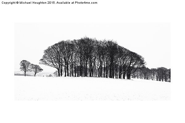  Winter Copse Picture Board by Michael Houghton