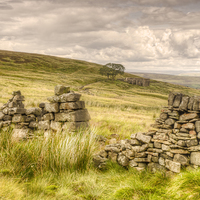 Buy canvas prints of  Withens Walls by Michael Houghton