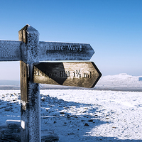 Buy canvas prints of Ingleborough......that way  by Michael Houghton