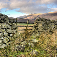 Buy canvas prints of  Skiddaw Little Man by Michael Houghton