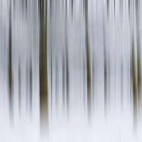 Buy canvas prints of  Winter Wood by Michael Houghton