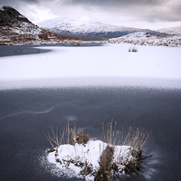 Buy canvas prints of Frozen  by Michael Houghton