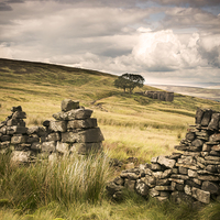 Buy canvas prints of  Withens Walls by Michael Houghton