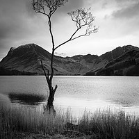 Buy canvas prints of Fleetwith Pike & Haystacks by Michael Houghton