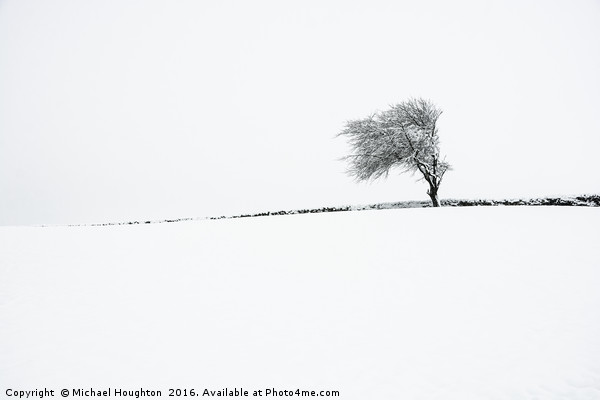 Winter tree Picture Board by Michael Houghton