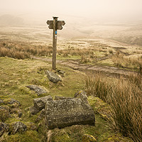 Buy canvas prints of Top Withens Signpost by Michael Houghton