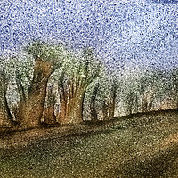 Buy canvas prints of Beach Trees by Michael Houghton