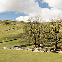 Buy canvas prints of Glorious Malham by Michael Houghton