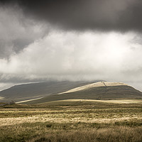 Buy canvas prints of Whernside by Michael Houghton