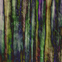Buy canvas prints of Stained Glass Woods by Michael Houghton