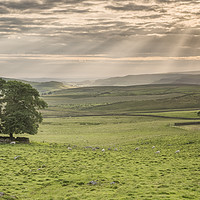 Buy canvas prints of Evening rays by Michael Houghton