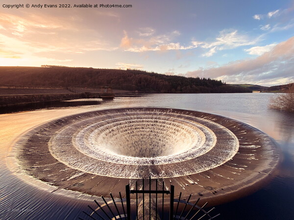 Lady Bower Plug Hole Picture Board by Andy Evans