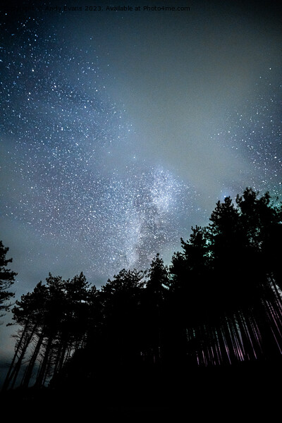 Newborough Forest stars Picture Board by Andy Evans