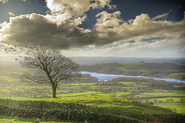 A view of Tittesworth Reservoir  Picture Board by Andy Evans