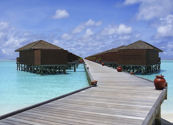 Maldives Water villas Picture Board by Andy Evans
