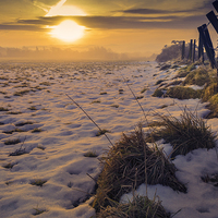 Buy canvas prints of Winter farm sunrise by Andy Evans