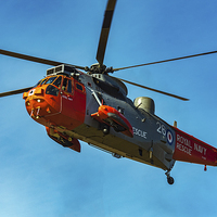 Buy canvas prints of  Sea King Royal Navy Search and Rescue by Neil Vary