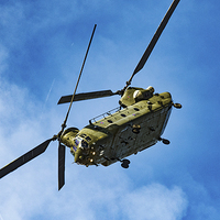 Buy canvas prints of  Royal Air Force Chinook by Neil Vary