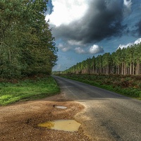 Buy canvas prints of Following the Road by Simon Tuck