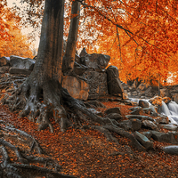 Buy canvas prints of  Autumn Cascade by Tedz Duran