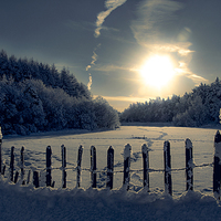 Buy canvas prints of  Winter Afternoon by Mark Denham