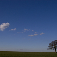 Buy canvas prints of  A lonely tree on an early winters morning. by Graham Light