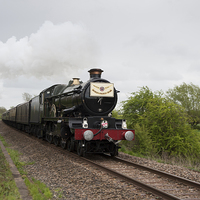 Buy canvas prints of The Cheltenham Flyer Steam train passing near Swin by Graham Light