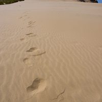 Buy canvas prints of  Footsteps in the sand by Graham Light