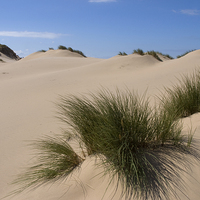 Buy canvas prints of  Sand dunes at Formby by Graham Light