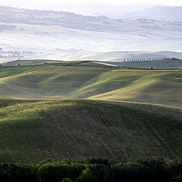 Buy canvas prints of Early morning light on the rolling hills of Tuscan by Graham Light
