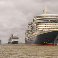 Buy canvas prints of  The Three Queens by Jim Moody