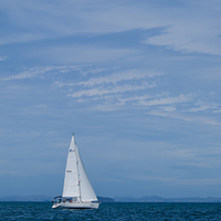 Buy canvas prints of Sailing in the Hauraki Gulf  by Barrie May