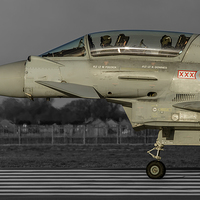 Buy canvas prints of 29sqn Typhoon T3 by Barrie May
