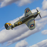Buy canvas prints of Sea Hurricane Over Old Warden  by Barrie May