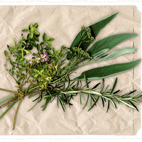 Buy canvas prints of Herbs by Janet Burdon