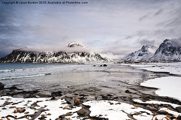 Flakstad Bay, Lofoten Islands Picture Board by Janet Burdon