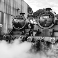 Buy canvas prints of Steam loco's Sir Eric Treacy and The Green Knight by Janet Burdon
